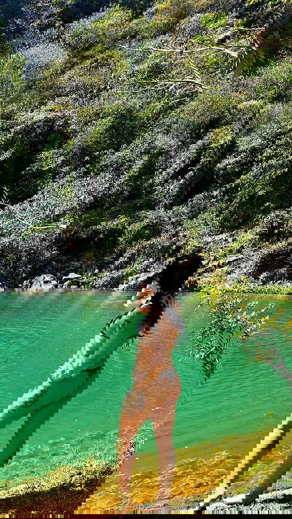 yam_adler yam_adler archive image