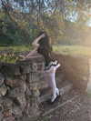 butter.on.a.poptart69 Altpins Profile Picture
