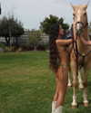 _lironatias Altpins Profile Picture