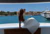 lian.ayallon Altpins Profile Picture