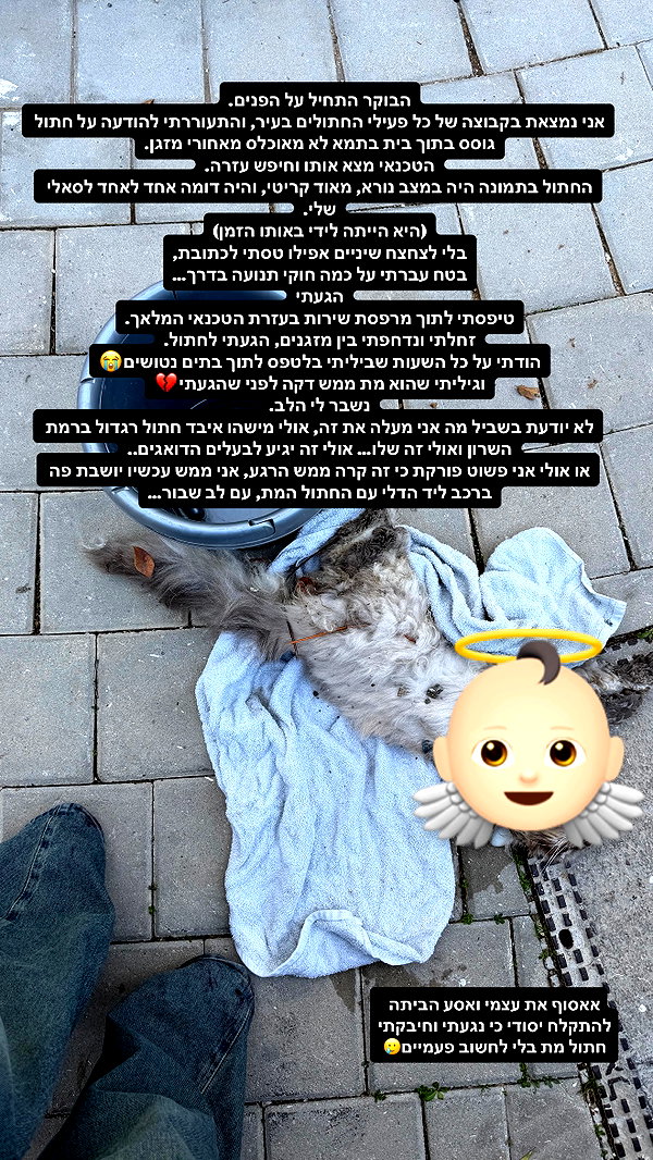 karin_orhov instagram image archive image