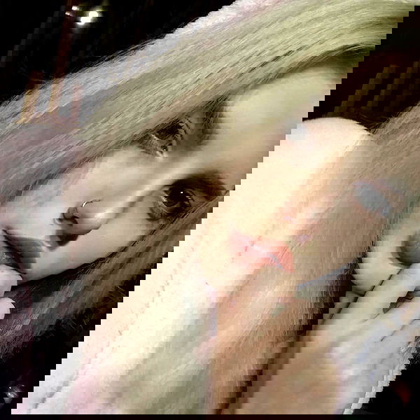 annfigmax image ~ Altpins