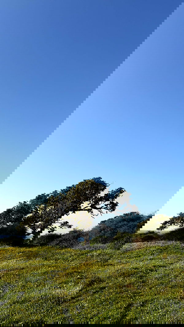 efrat_elmalich efrat_elmalich archive image