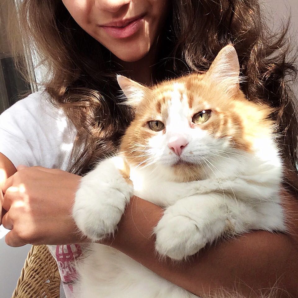 kkulakovaa instagram image archive image