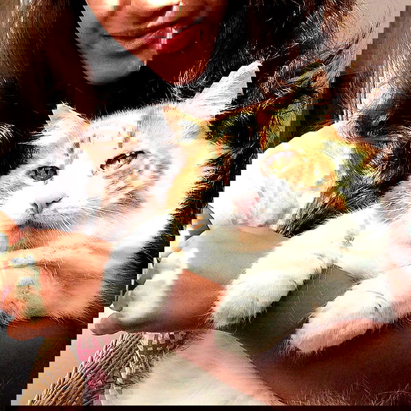 kkulakovaa image ~ Altpins