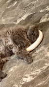 marilyn_damaged Altpins Profile Picture