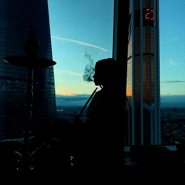 alishevs instagram image archive image