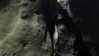 vvelum_ Altpins Profile Picture