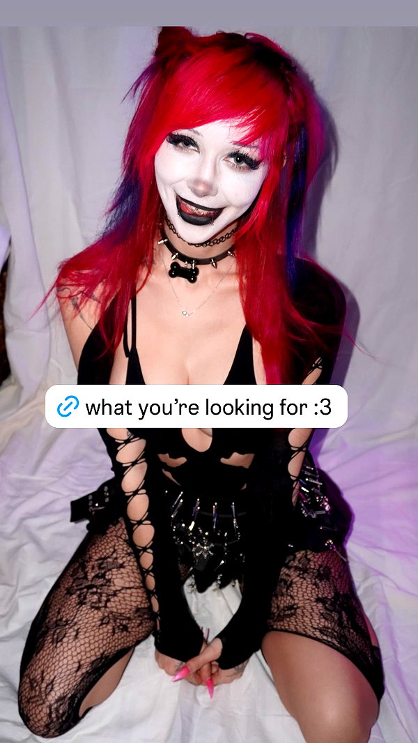pixelpuppi instagram image archive image