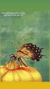 _ann.kim_ Altpins Profile Picture
