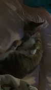 olivia.bolgerr Altpins Profile Picture