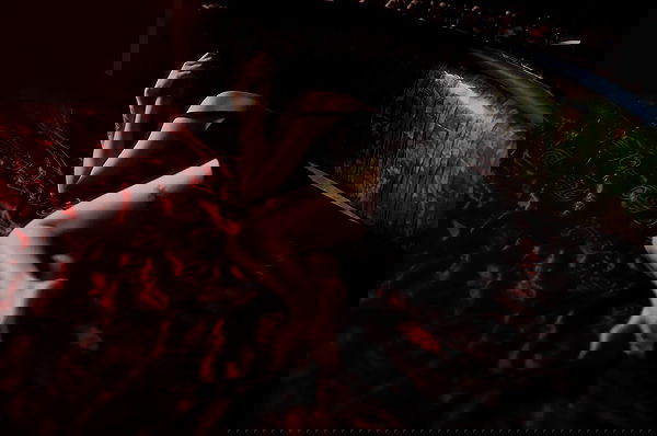 ting851204 ting851204 archive image