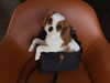 alexxndrraa Altpins Profile Picture
