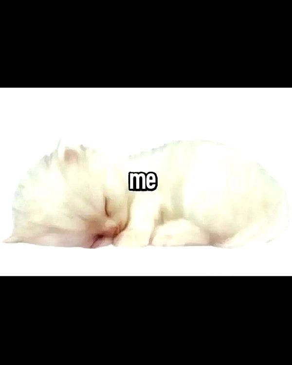 leanbeefpatty instagram image archive image