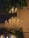 barbie_vampi Altpins Profile Picture