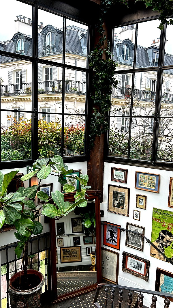 michalcohen___ archive image