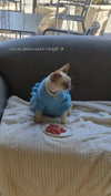 rott3nbambi Altpins Profile Picture