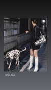 fair_mua Altpins Profile Picture