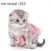 1uvgabi Altpins Profile Picture