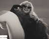 xtina Altpins Profile Picture