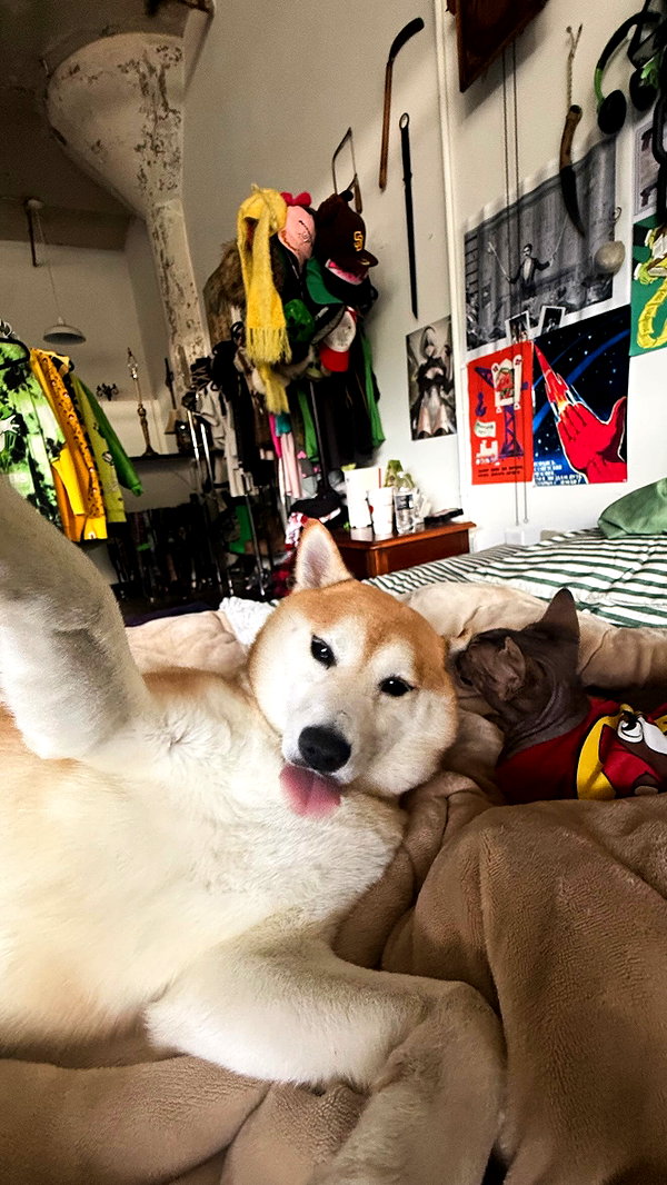 zommmbri instagram image archive image