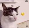maiden_lifts Altpins Profile Picture