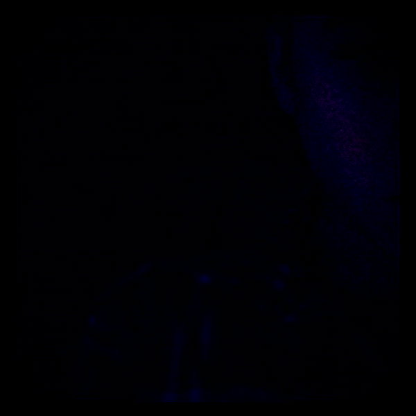 lilbieber instagram image archive image