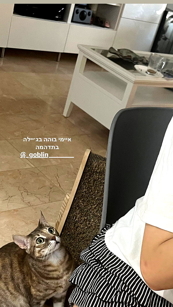Archived image from @notchicore on Instagram