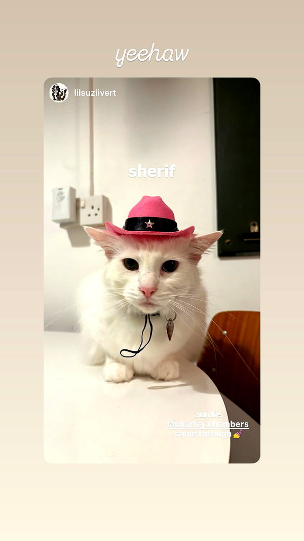 charley.chambers instagram image archive image