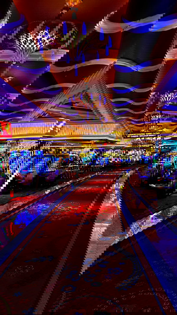 taylor.creeden taylor.creeden archive image