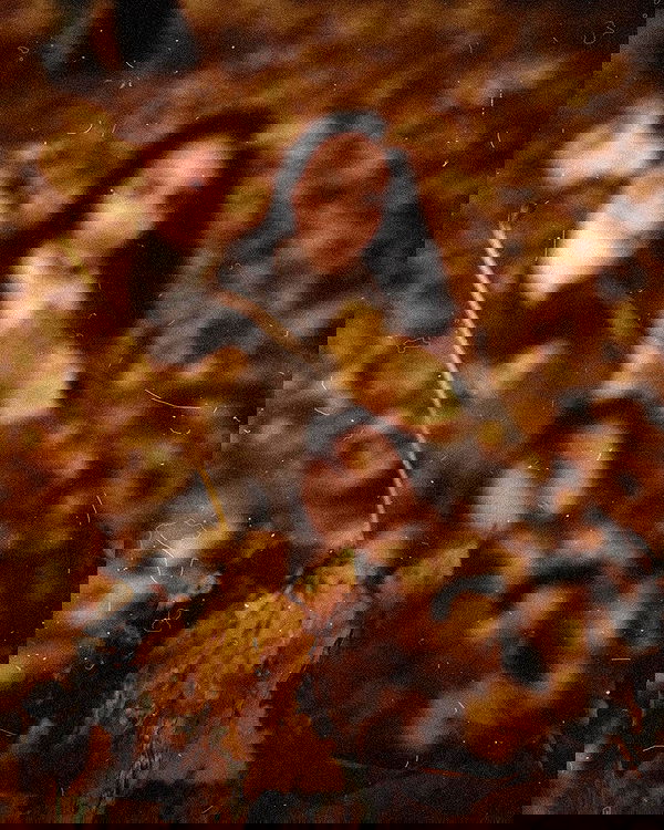 kkulakovaa image ~ Altpins