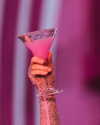 shakira Altpins Profile Picture