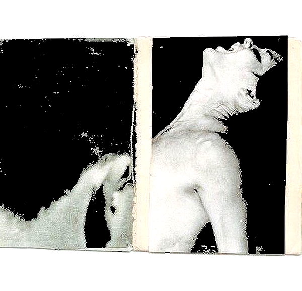 stea0diness instagram image archive image