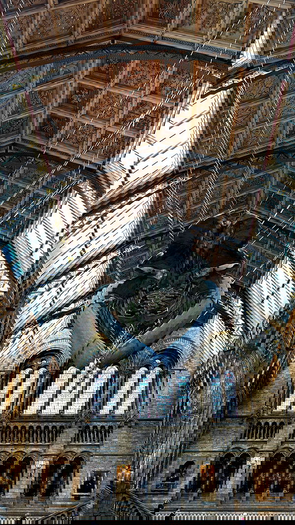 taylor.creeden taylor.creeden archive image