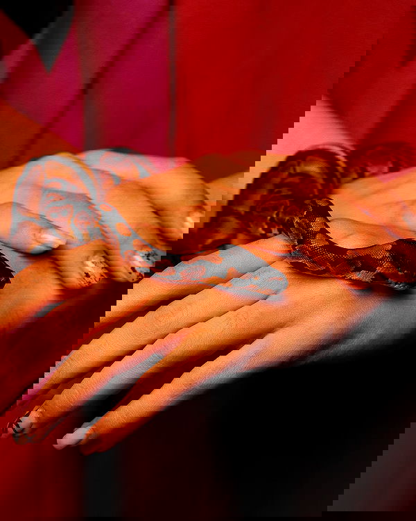 kkulakovaa image ~ Altpins