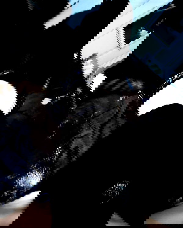 xombunni image ~ Altpins