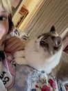 catl0verr69 Altpins Profile Picture