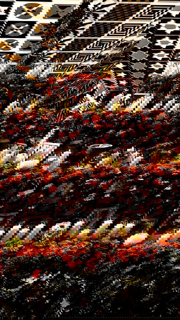 taylor.creeden taylor.creeden archive image