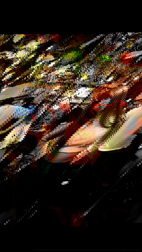 rinsrain rinsrain archive image