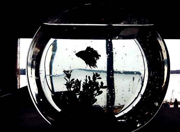 sadieemckennaa instagram image archive image
