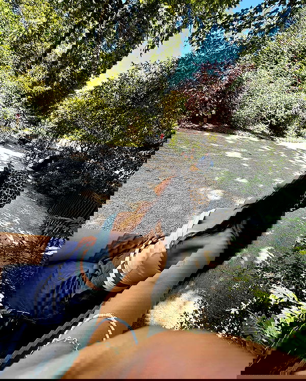 manjolamuriqi manjolamuriqi archive image