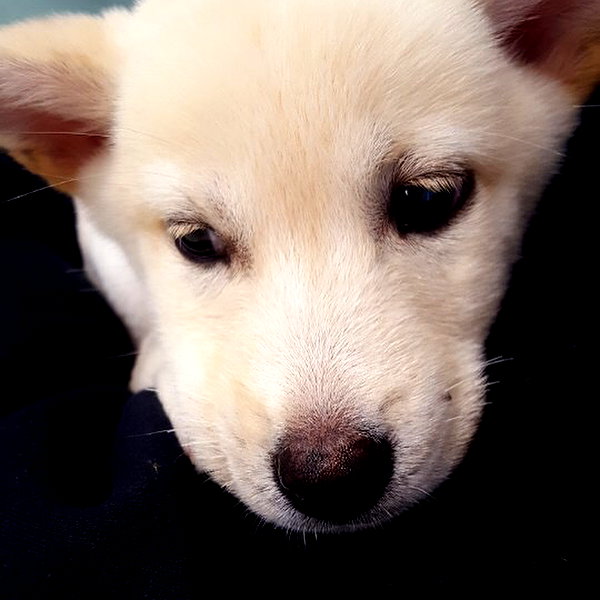 daxbin instagram image archive image