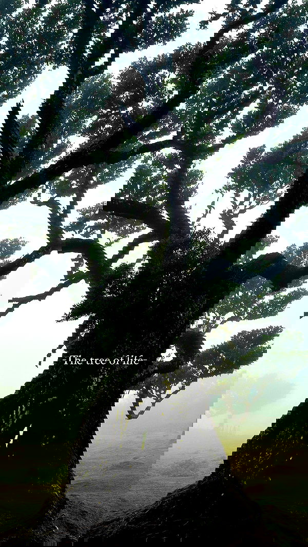 taylor.creeden taylor.creeden archive image