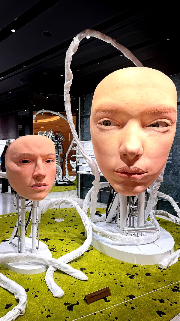 tgiangya instagram image archive image