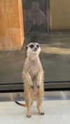 elsgatti Altpins Profile Picture