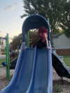 astarwbry_ Altpins Profile Picture