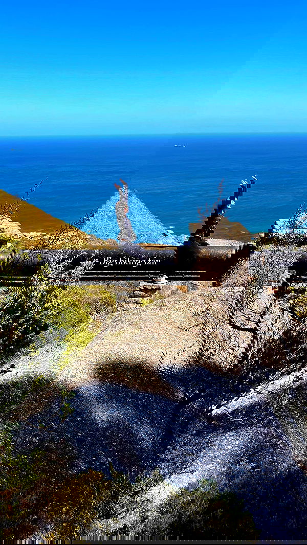 taylor.creeden taylor.creeden archive image