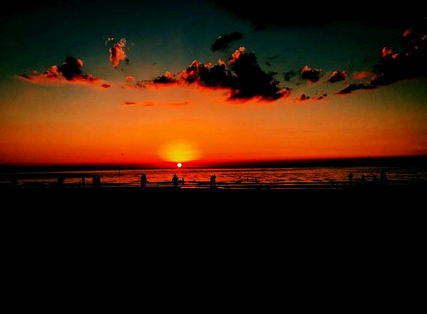 sadieemckennaa instagram image archive image