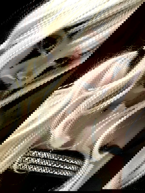 starttles starttles archive image