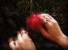 romy_ayalla_lavi Altpins Profile Picture